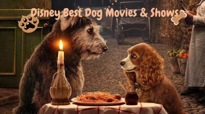 best dog movies on Disney Plus 2023