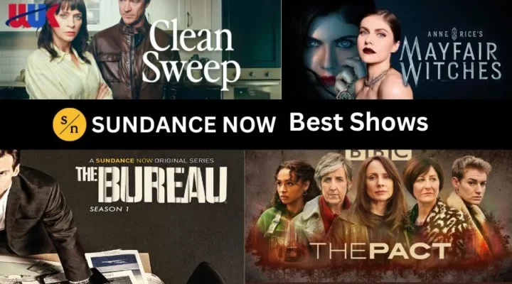 SUNDANCE NOW BEST SHOWS