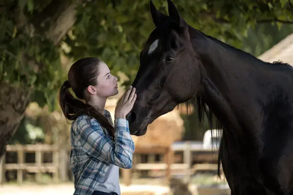 black beauty