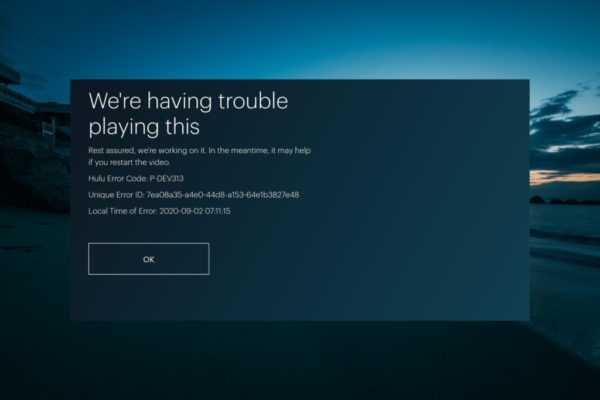 P TS207 error code on Hulu